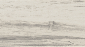 Poplar 20x120