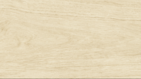 Betula 20x120