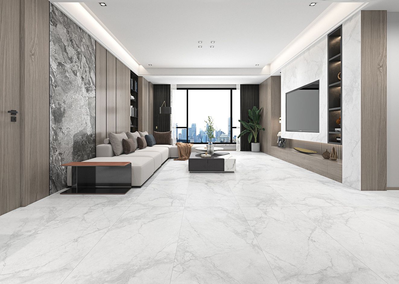 Carrara Silver 60x120