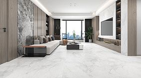 Carrara Silver 60x120