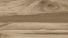 ELM 20x120