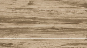 ELM 20x120