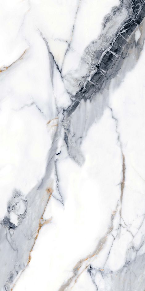 Calacatta Gold 60x120