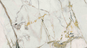 Irene 120x300