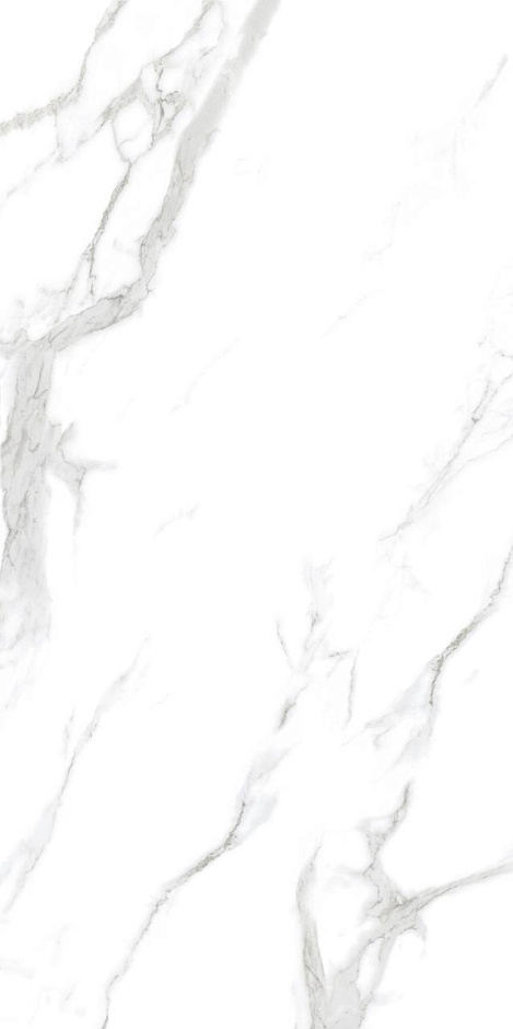 Statuario 60x120