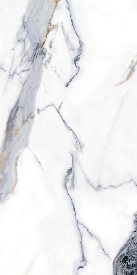 Calacatta Gold 60x120