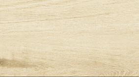 Betula 20x120