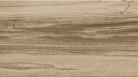 ELM 20x120
