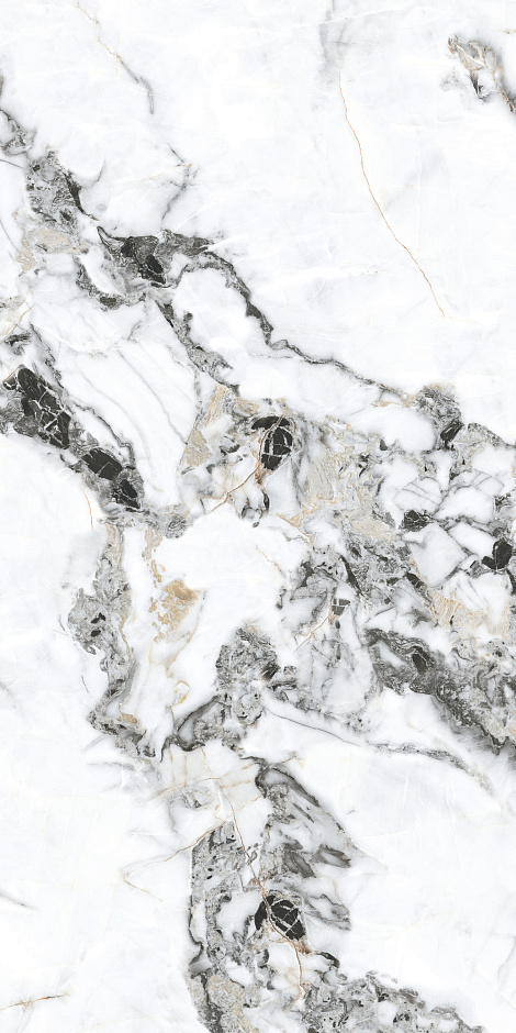 Bianco Gold 60x120