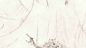 Rossana Star  120x300