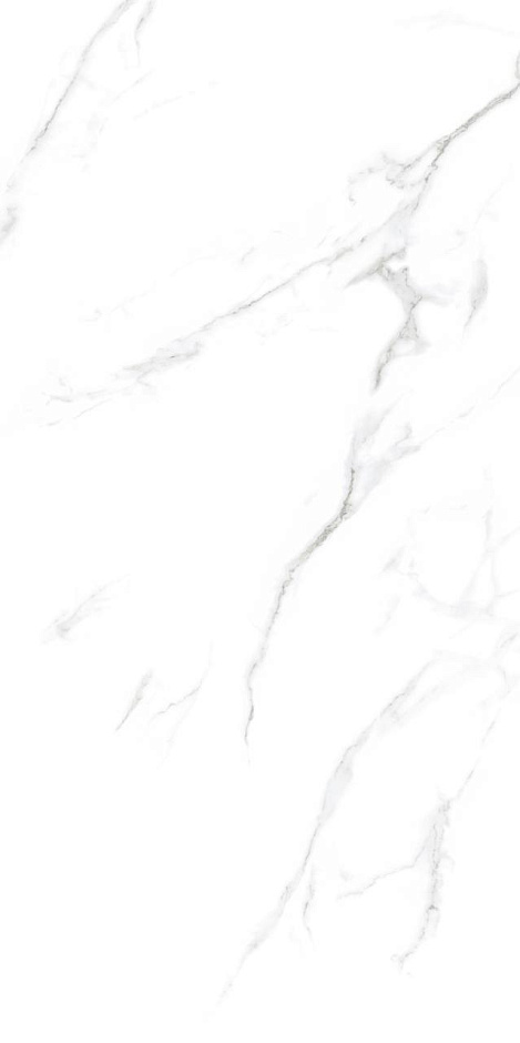 Statuario 60x120