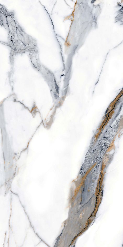 Calacatta Gold 60x120