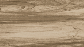 ELM 20x120
