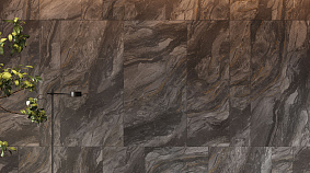 Genesis 60x120