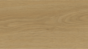 Jatoba 20x120