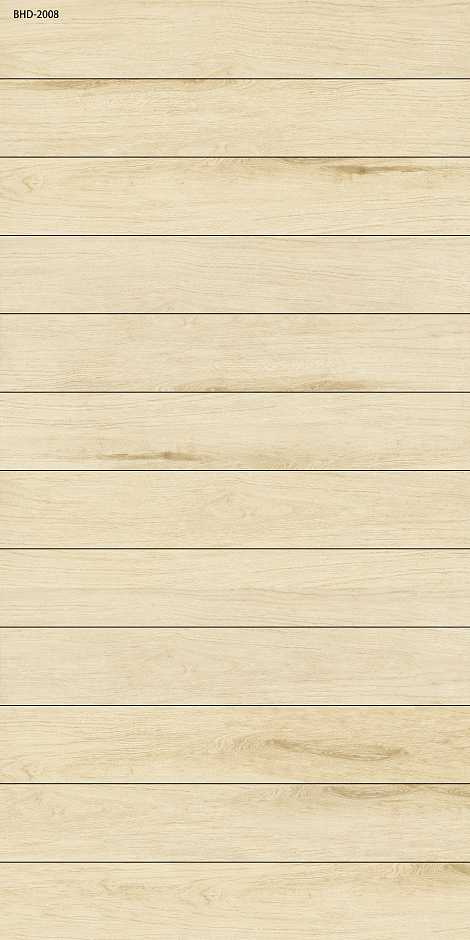 Betula 20x120