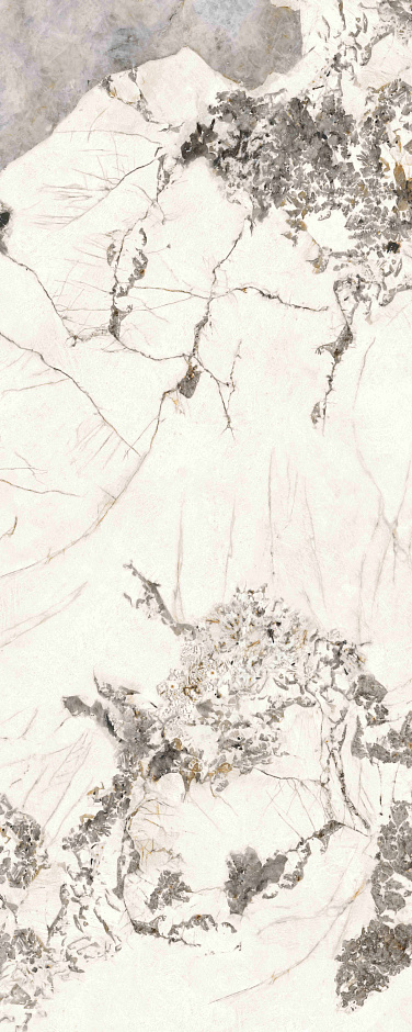 Rossana Star  120x300