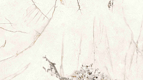 Rossana Star  120x300