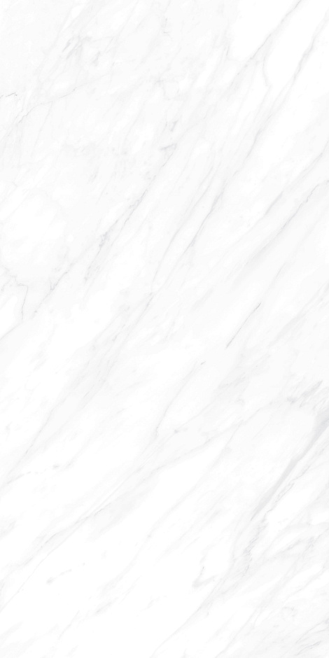 Carrara Matt 60x120