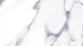Calacatta Gold 60x120