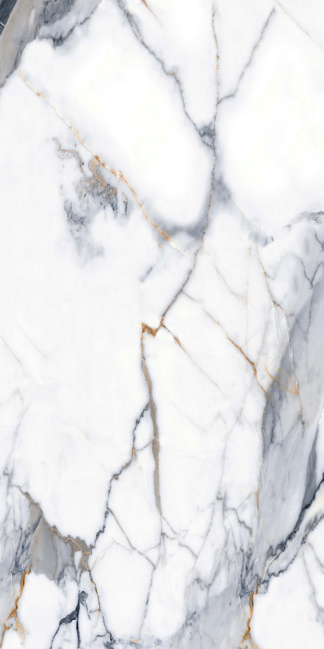 Calacatta Gold 60x120