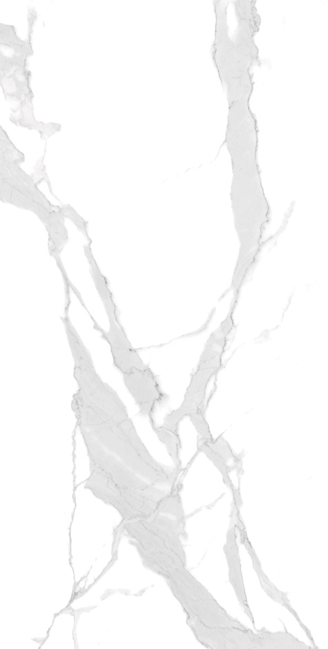 Bianco White 60x120