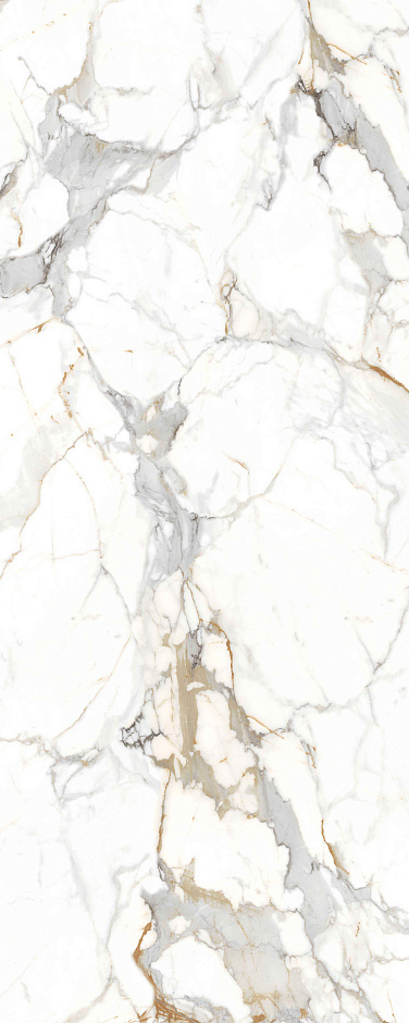Golden  Francesca 120x300