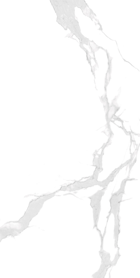Bianco White 60x120