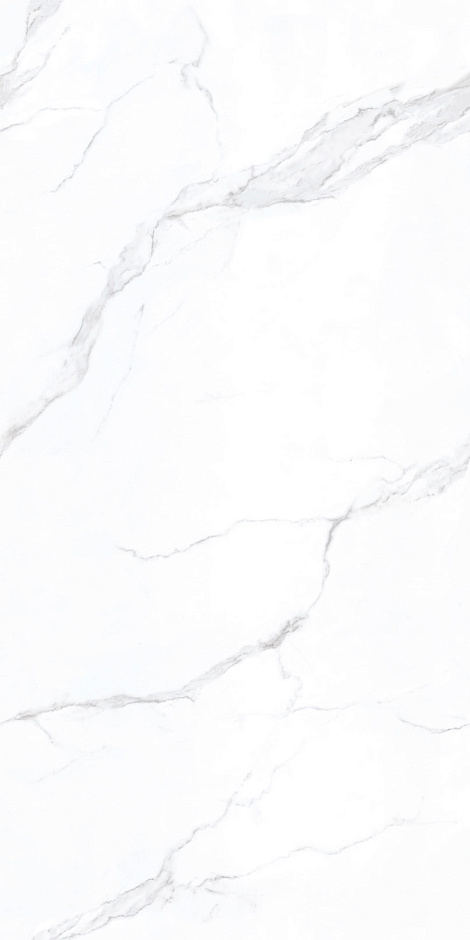 Carrara 60x120