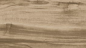 ELM 20x120