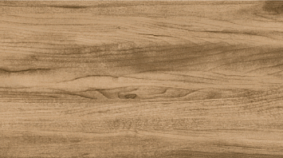 Cypress 20x120