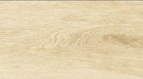 Betula 20x120