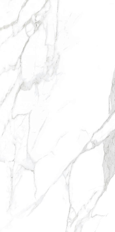 Statuario 60x120