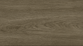 OAK 20x120