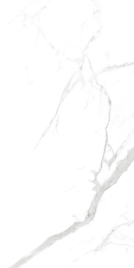 Statuario 60x120