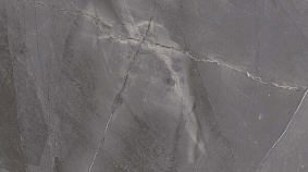 Space Brown 60x120