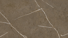 Stone Brown 60x120