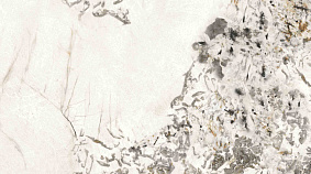 Rossana Star  120x300