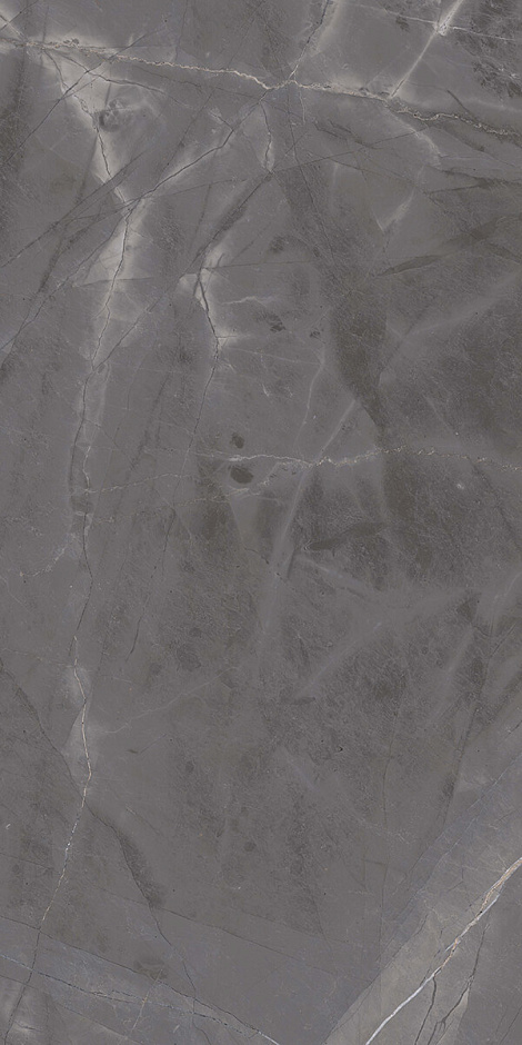 Space Brown 60x120