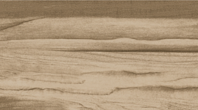 ELM 20x120