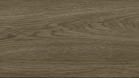 OAK 20x120