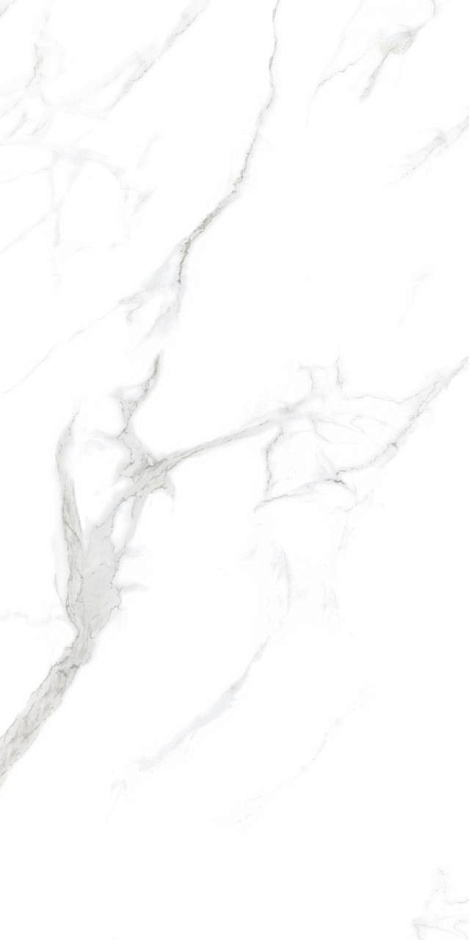Statuario 60x120